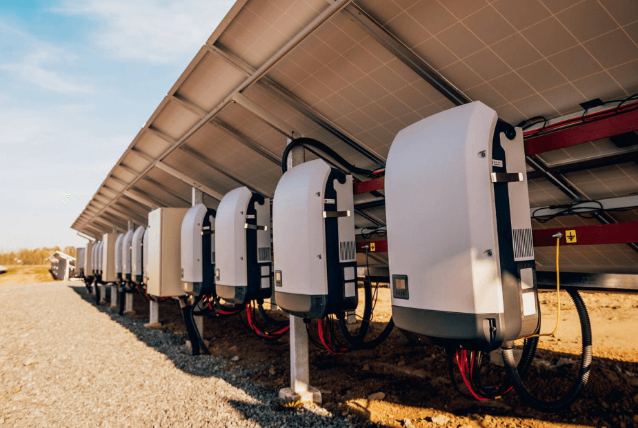 About Rosadav Concepts