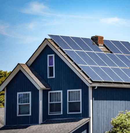 About Rosadav Concepts